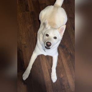 Bundle sale!!! 3 for $20